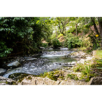 il fiume Lambro