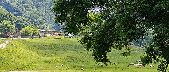 azienda agricola Alpe Megna