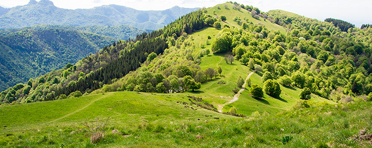 Alpe Spessola