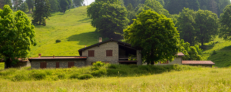 i fabbricati dell'Alpe di Borgo - propriet della CMTL