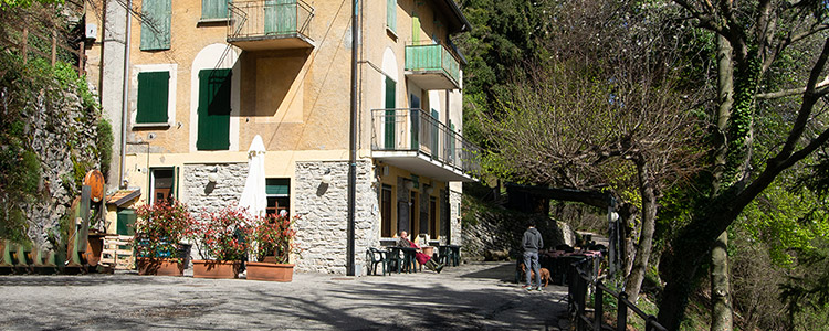 Alpe del Vicer - Rifugio Cacciatori