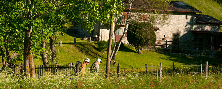 inizio della passeggiata verso l'Alpetto di Torno inizio della passeggiata verso l'Alpetto di Torno